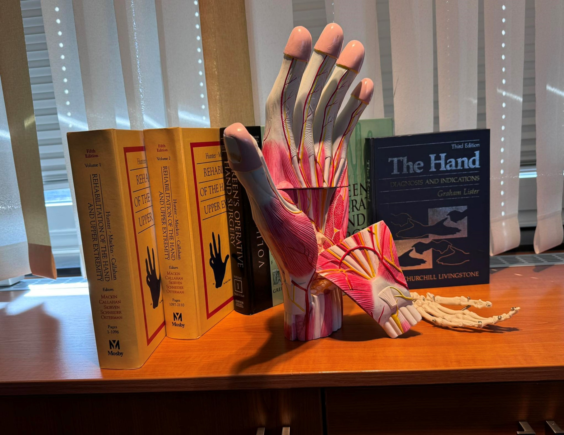 Anatomisches Handmodell mit Fachliteratur